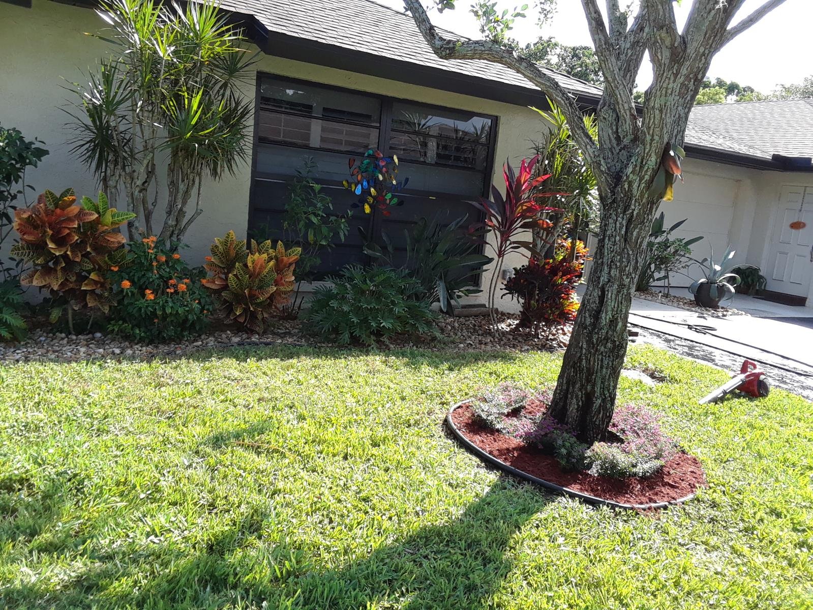 Plants and flowers landscaping by Amaya's Landscaping